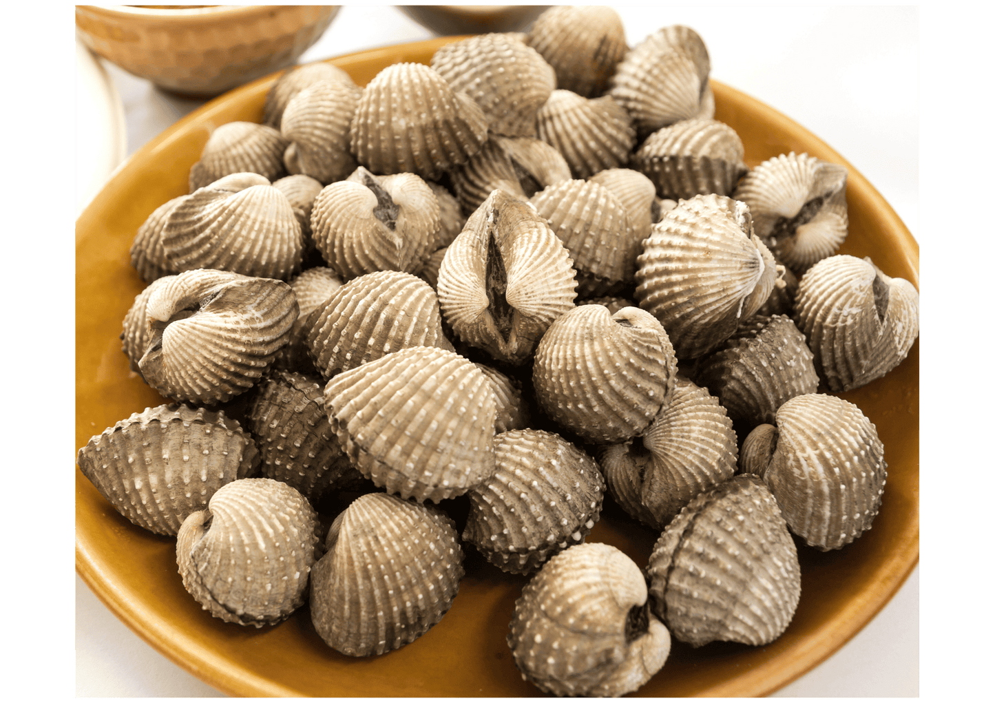 Fresh Sea Cockles 血蚶
