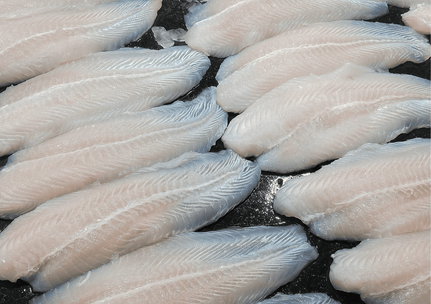 Dory Fish Fillet 多莉鱼