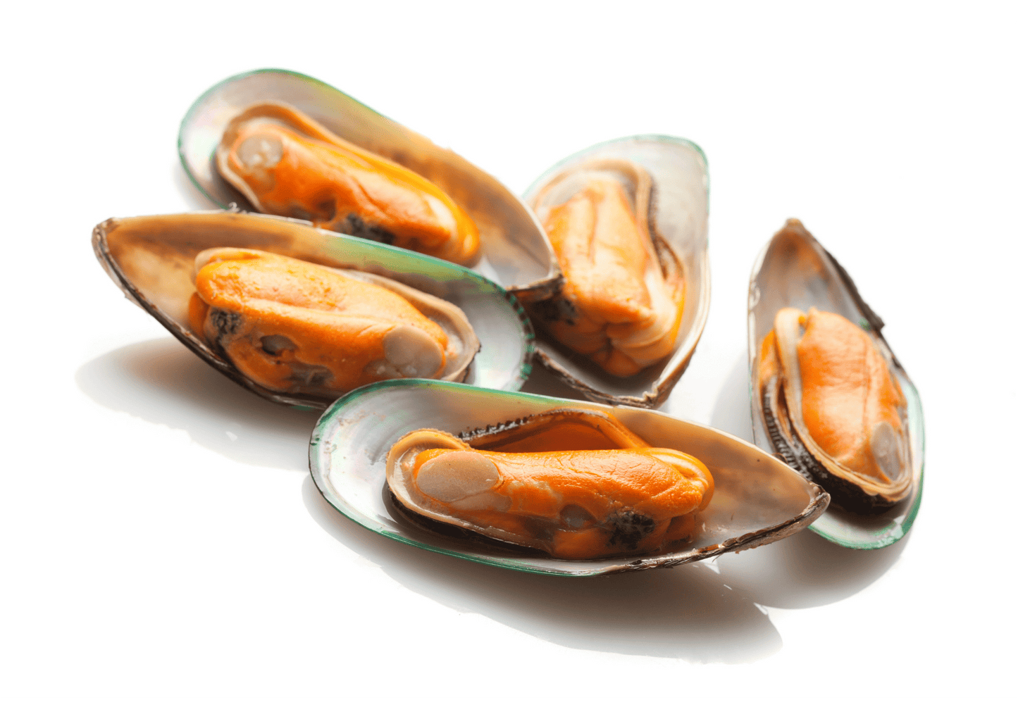 Fresh Green Mussels 壳青口贝