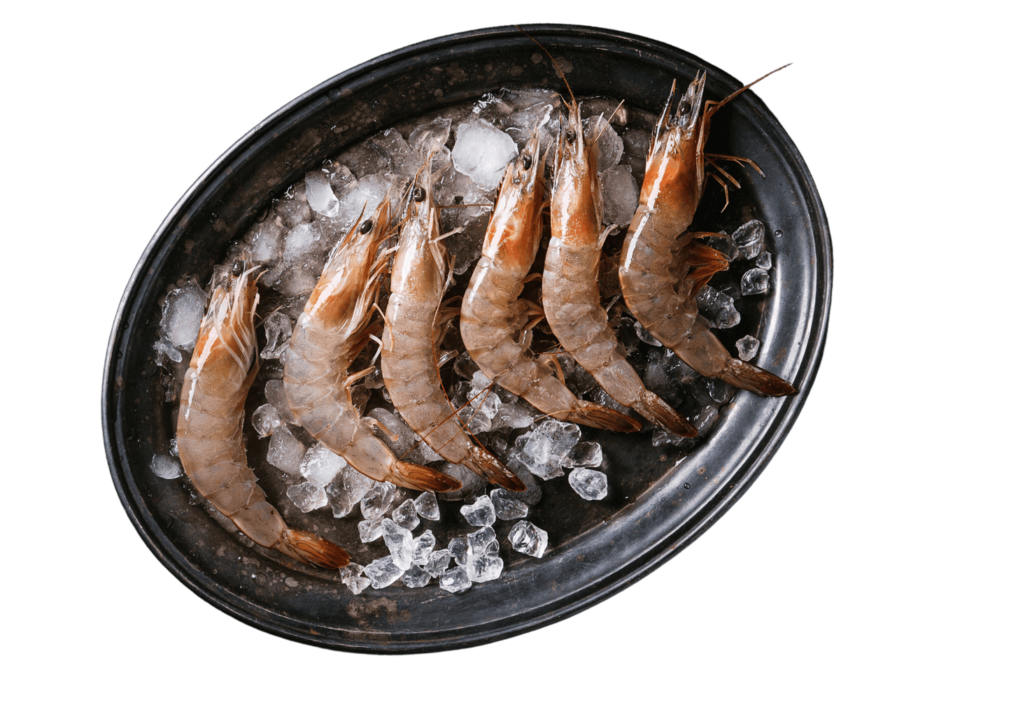 Fresh Ocean Red Leg Prawn 红脚虾
