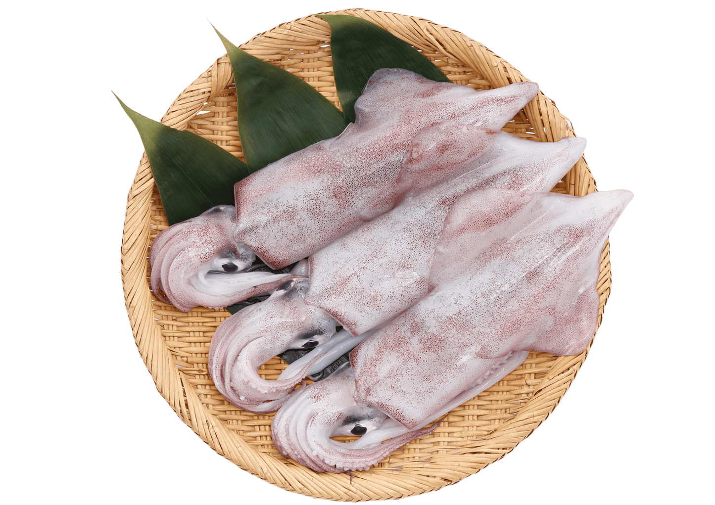 Fresh Ocean Sotong/Squid 苏东/花枝