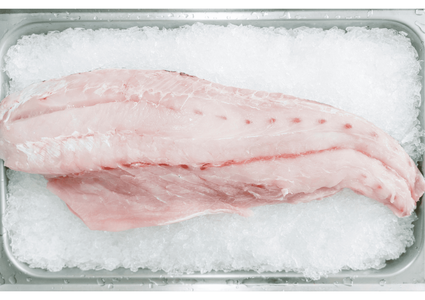 Silver Crest Threadfin Meat 午鱼