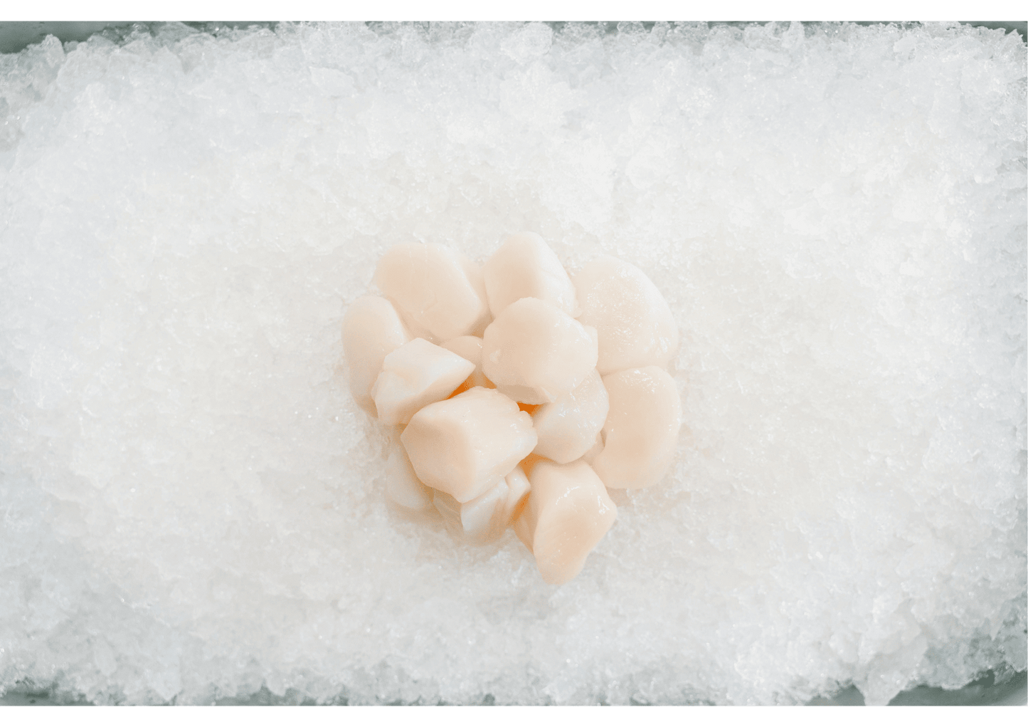A1 Hokkaido Scallop (Frozen) 北海道带子