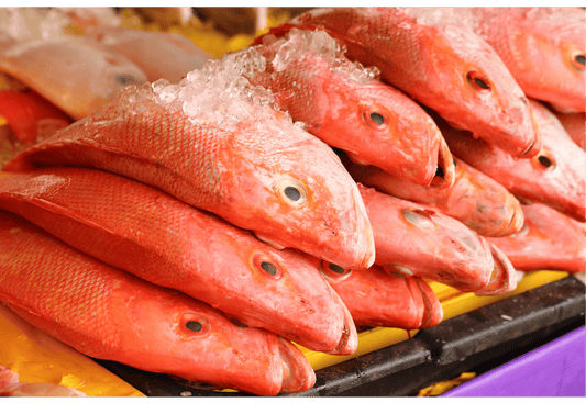 Ruby Red Snapper 红鸡鱼
