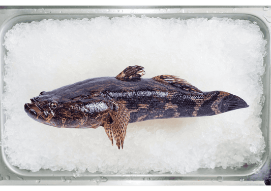 Soon Hock/Marble Goby 笋壳鱼